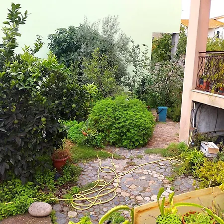 Bed & Breakfast Petrarca